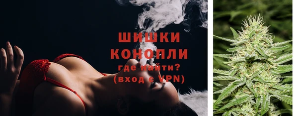 стаф Осинники