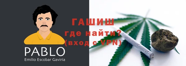 прущие грибы Костерёво