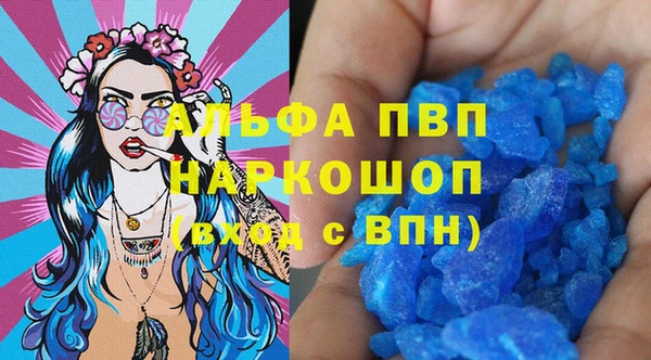 прущие грибы Костерёво