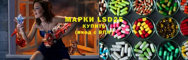 сатива Кущёвская