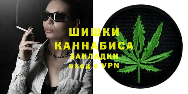 стаф Осинники