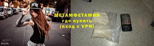 прущие грибы Костерёво