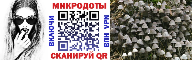 Галлюциногенные грибы мухоморы  продажа наркотиков  Димитровград 