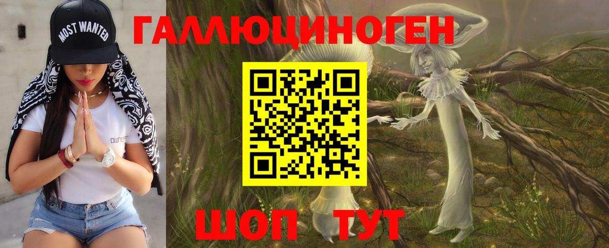 Димитровград  Псилоцибиновые грибы прущие грибы  Псилоцибиновые грибы Cubensis  Вход с VPN 